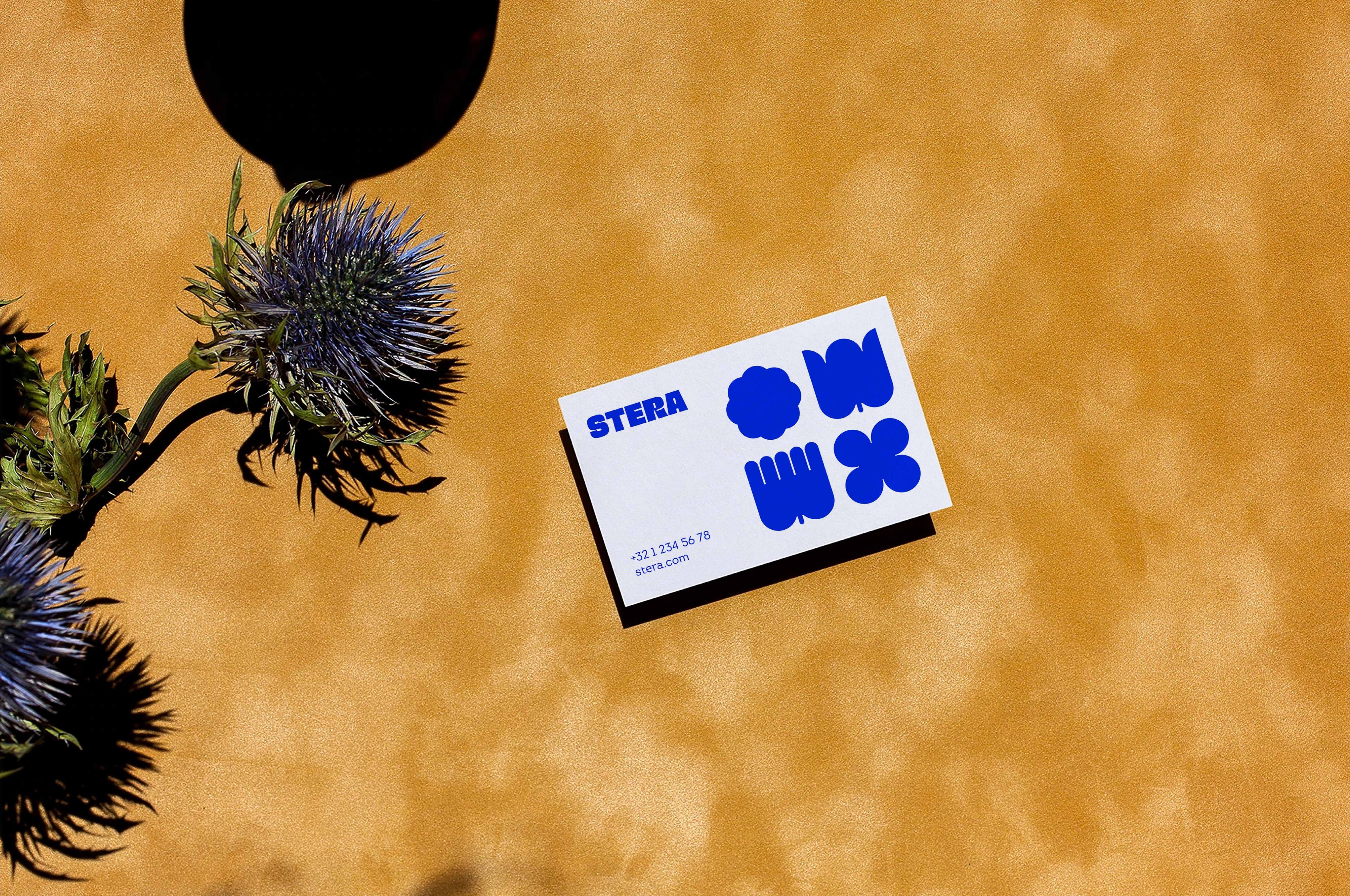 Brand Architecture: A System That Supports Growth