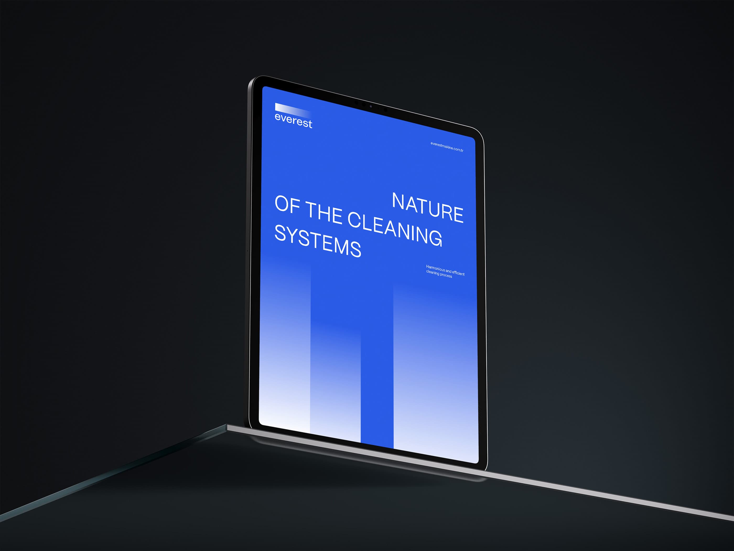 Brand Platform Development: Stages, Goals, and Key Advantages