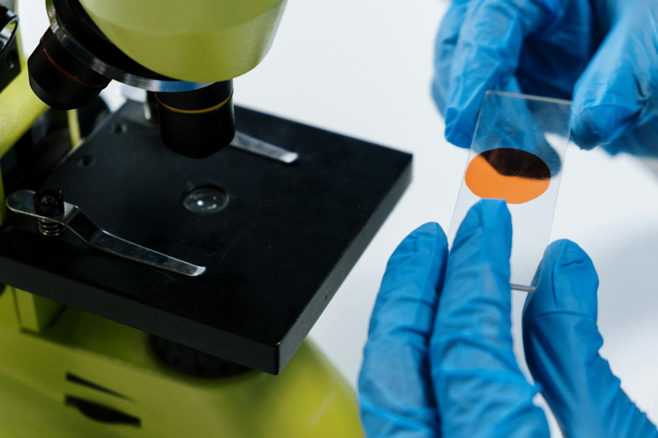 Overview of the Hemotest Laboratory Diagnostics Brand
